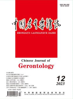 中国老年学期刊